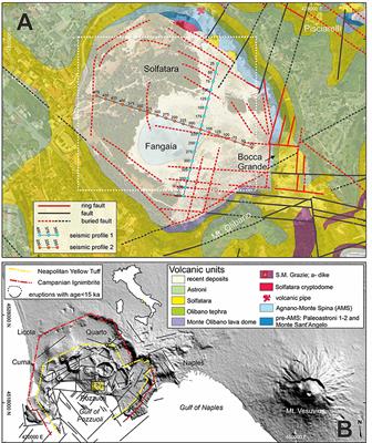 The Hydrothermal System of Solfatara Crater (Campi Flegrei, Italy) Inferred From Machine Learning Algorithms